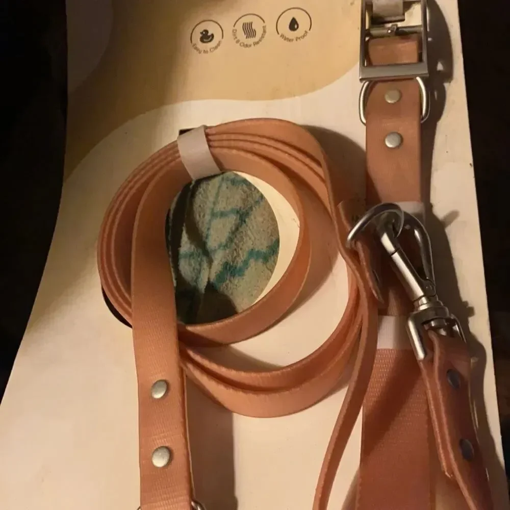 Dog walk set